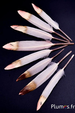 Oie Lame pointe dorée-bronze - 10-15 cm - beige rosé